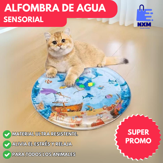 AquaPlay® l Tapete Sensorial